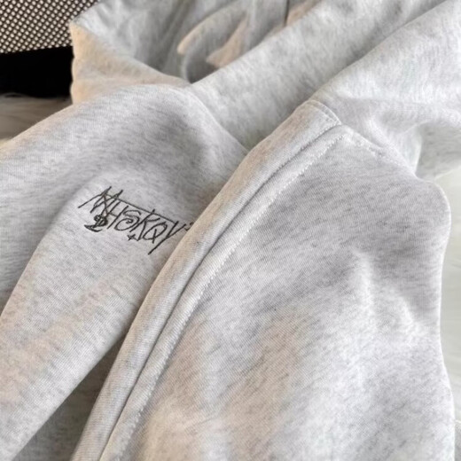字母刺绣连帽卫衣男秋季重磅立挺高街美式上衣宽松百搭潮流衣服男 白灰色 L 建议100-120斤
