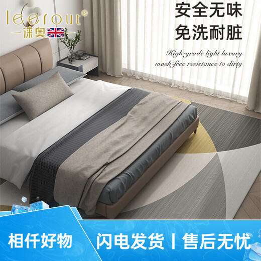 徕奥leerout客厅地毯免洗可擦沙发地垫大面积全铺房间高级感家用防水 简约13567号 300cm*200cm(耐磨耐用)
