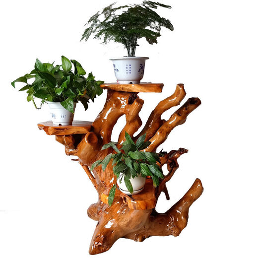 Bûche racine sculpture rack arbre racine ornement naturel salon salon multicouche bonche à pêche à pêche solide balcon de base en bois 16868
