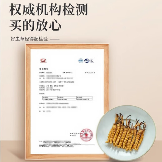 高端礼盒装冬虫夏草送长辈送领导滋补品藏区冬虫夏草干虫草50根 50根【3根一克】高端礼盒装