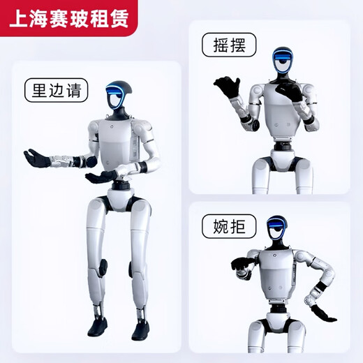 Yushu Saibo National Rental Yushu Unitree Robot Rental Dancing Intelligent Roboter (EDU Version) Einzahlung