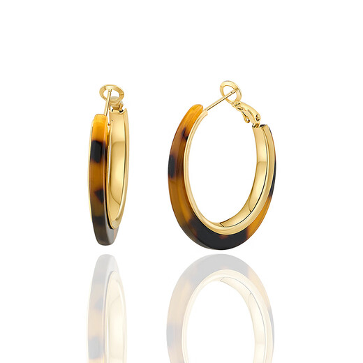 AJIDOU Ajidou earrings birthday gift, fashionable leopard print alloy earrings for girlfriend and wife