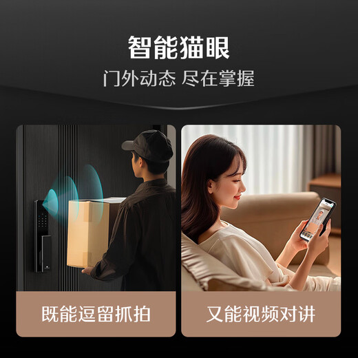 德施曼（DESMAN）智能门锁3D人脸识别掌静脉可视猫眼大屏指纹密码电子锁 小嘀 Q2FV