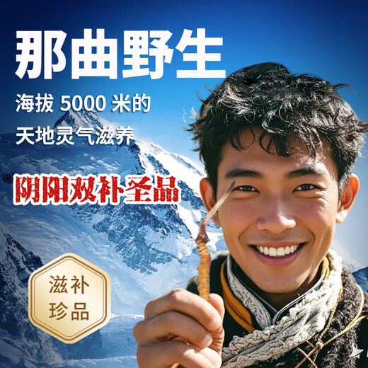 Guancaigui [Naru Qu, Tibet] Wild Cordyceps Sugar Sugar Supplements for Elders Nutrition Gift Box Cordyceps Gift Practical [4 roots/g] 5 grams of freshly tasted 20 roots (give one artificial grass for comparison