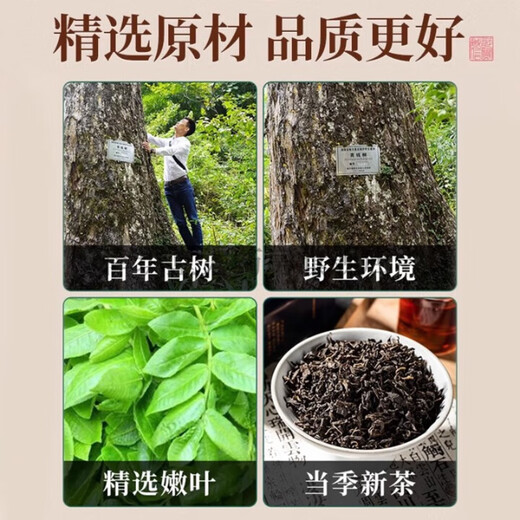 协和京品青钱柳叶茶降水压低脂低糖高血压搭绞股蓝罗布麻养生茶 青钱柳三盒装【糖友力荐】