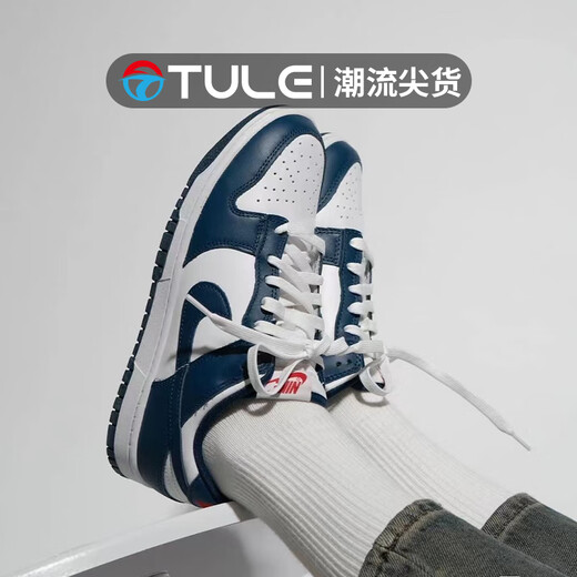 耐克（NIKE）男鞋Dunk Low Retro运动鞋白藏青防滑低帮轻便休闲板鞋 DD1391-400 40