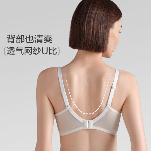 Comfit【花影风巢杯】无钢圈大胸显小大码内衣女舒适透气文胸CBW0195 乳白色CRM 75C
