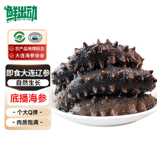 Fresh out of Dalian ready-to-eat sea cucumbers, sea cucumbers, sea cucumbers, sea cucumbers, sea cucumbers, dried goods 7-13 heads, net weight 500g
