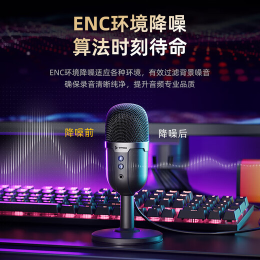 Taidu Official Genuine TSP201 Starcom Computer Microphone Desktop Laptop E-Sports Game Voice Live Broadcast Microphone Noise Reduction Condenser Microphone USB Plug Karaoke Online Class USB Version TSP207 Computer Special