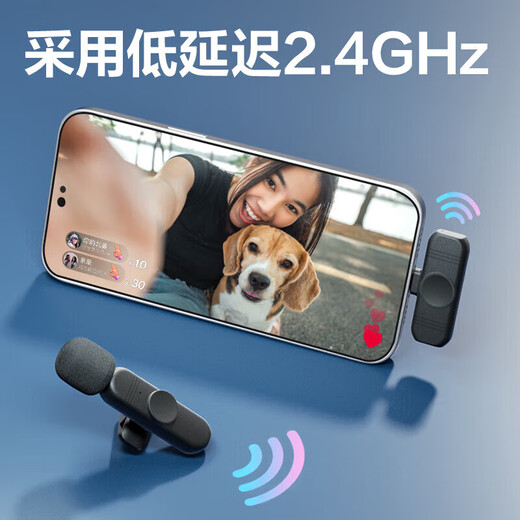 Deli Wireless Lavalier Mic Noise Canceling Radio Mic Mobile Phone Video Audio Recording Anchor Live Broadcast Outdoor Shooting One to Two Android Apple Professional Single and Double Recording Mic Wireless Double Radio One to Two/Android and Apple Universal/Type-C Interface