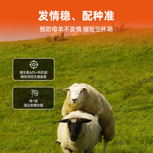 Yingmaier breeding ewe premix lambing multi-pregnancy lactation ewe feed milk multi-Yingmaier premix ewe premix 20kg (lamb Duowang)