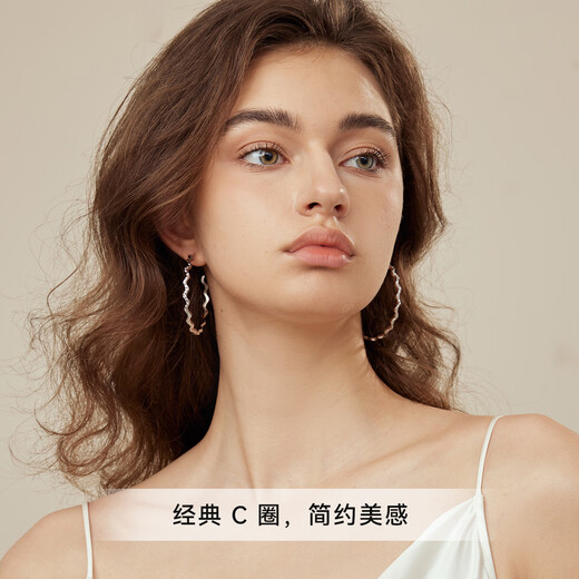 Arsis Streamer Series Sparkling Earrings Women's Earrings Fashion Jewelry 925 Silver Needle as a Birthday Gift for My Girlfriend