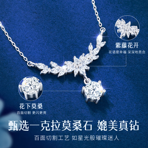 Central Chuang Fashion Chinese Gold and Silver Necklace Girls 2025 New Light Luxury Niche Birthday Gift Ladies Girlfriend Girlfriend S925
