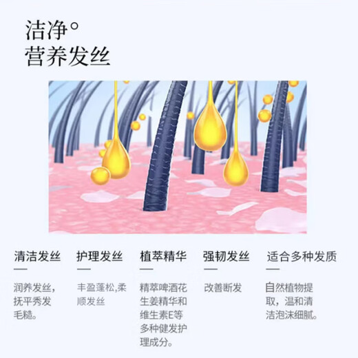 蜂花无硅油洗发水护发素洗护套装生姜健发男女士柔顺滑防分叉正品 生姜健发洗发露100ml+便携装32ml