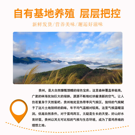 Yipinou Lutein fresh eggs 30 pieces/net weight 3Jin Jin equals 0.5kg Antibiotic-free Guizhou good taste Straight from the source Yipinou Lutein fresh eggs 30 pieces/net weight 3Jin Jin equals 0.5kg Antibiotic-free Guizhou good taste Straight from the source