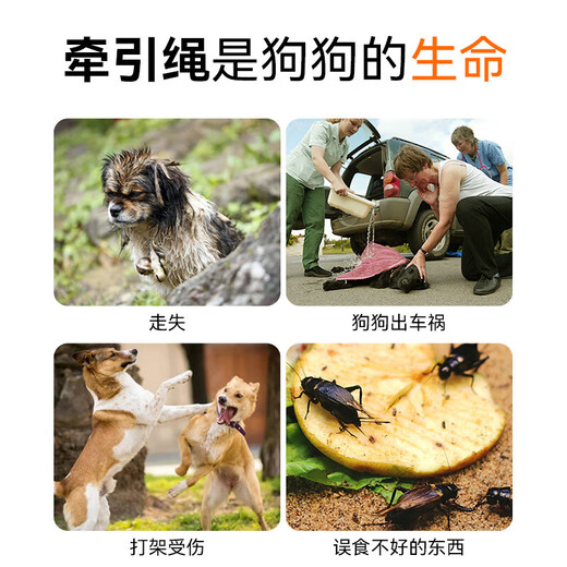 Star rudder dog leash with bell dog leash harness leash small dog puppy leash dog walking leash yellow and blue leash with bell-S (3-6Jin Jin is equal to 0.5kg)