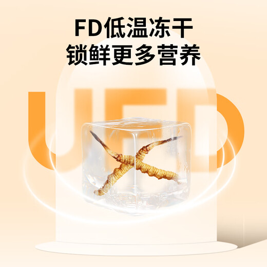 同芙 冬虫夏草2根/g 10g 20根礼盒装 滋补营养补品送长辈礼品礼物