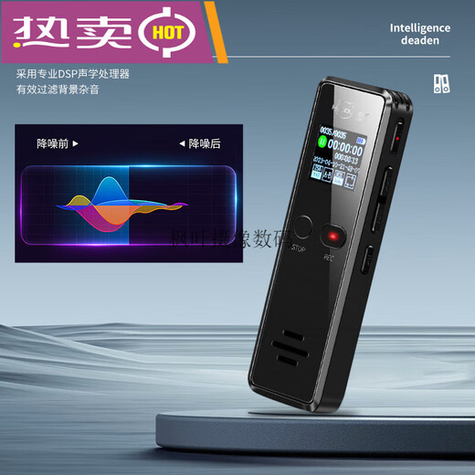 
Sea Bear Pen Portable Professional High Definition Noise Reduction Ultra Long Standby Large Capacity Concert Soundtrack Pen [Same Model for Concert] 8GB_Standard Model [*Earphones OTG Converter Header Data Cable]