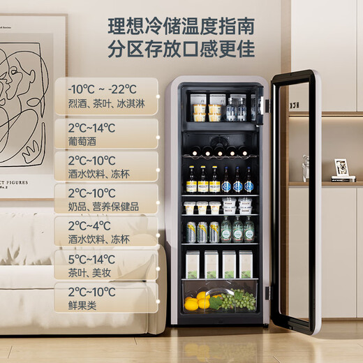 HCK Husky Dundun Bar Pro243 liter retro ice bar refrigeration home living room small refrigerator first-class energy efficiency dual temperature storage SC-330RD-S warm gray bright light