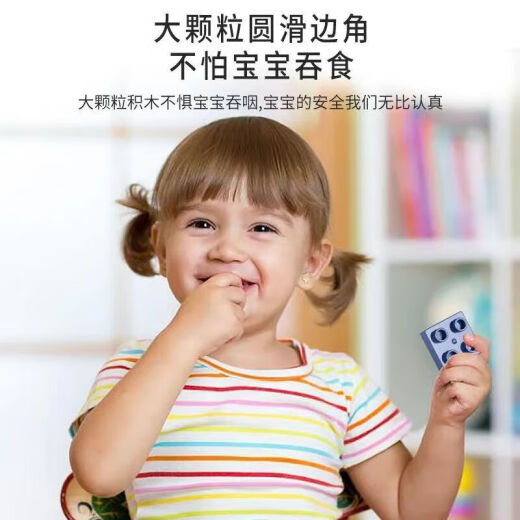 乐高(LEGO)积木儿童拼插大颗粒玩具3岁6岁早教男孩动脑玩具 719大颗粒+5底板+汽车包+摩天轮+