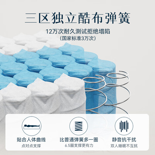 林芃家品林芃云宿弹簧床垫席梦思乳胶护脊天然椰棕硬垫厚1.8x2米国家补贴 A实用之选 适中偏硬静音护脊20cm 1350mm*2000mm