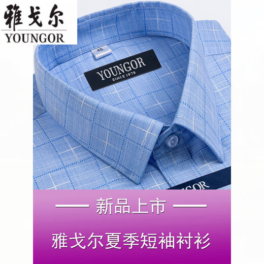 雅戈尔旗舰官方店衬衫男短袖夏季薄款中年男装寸衫职业休闲衬衣透气 短袖DX6636 45 建议【210-230斤】
