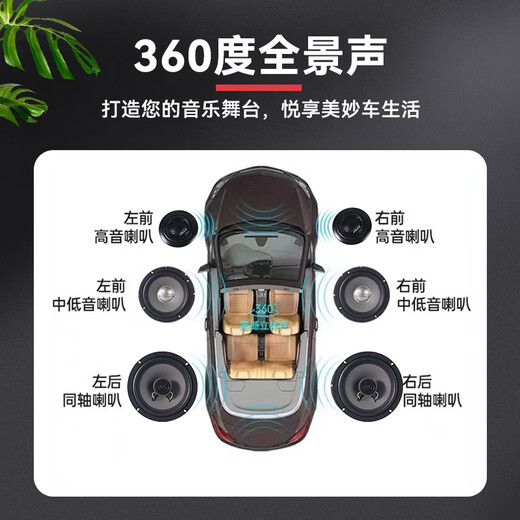 Danner.jazz Stimme von Berlin Autotür Vollauto Audio Horn Upgrade und Modifikationssatz 6,5-Zoll