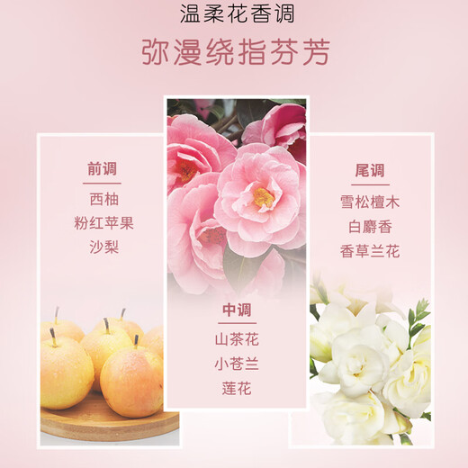 丝蕴弹力素女士水感丰盈自然卷发亮泽光泽闪耀花香易清洗通勤水基配方 丝蕴 水感丰盈 弹力素150ml 1瓶