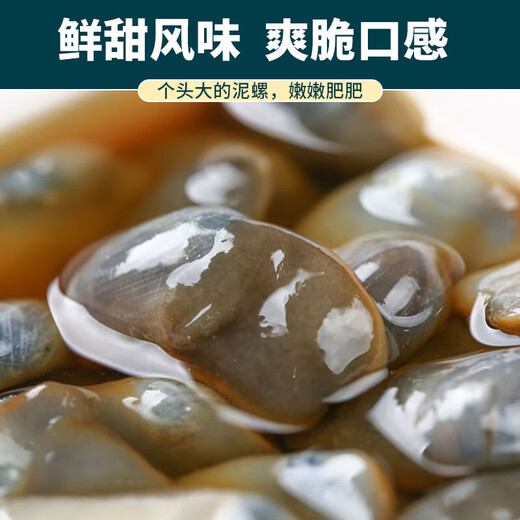 Mud snail ready-to-eat canned yellow mud snail fresh extra large drunk mud snail raw pickled Zhoushan specialty Ningbo seafood conch without sand 5A large size raw pickled drunk mud snail 210g/can 1 can