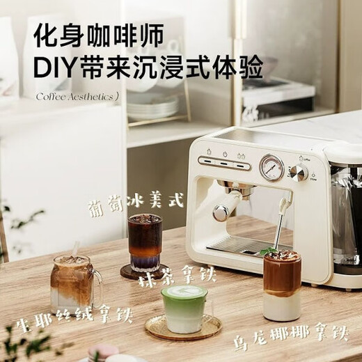 Stelang ST-693b Italienische Kaffeemaschine All-in-One-Heimstand kleiner halbautomatischer Dampfmilchschaum Reis Weiß
