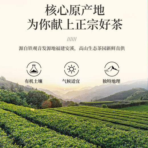 一杯香茶叶乌龙茶福建铁观音清香型特级250g礼盒装兰花香散装自己喝送礼