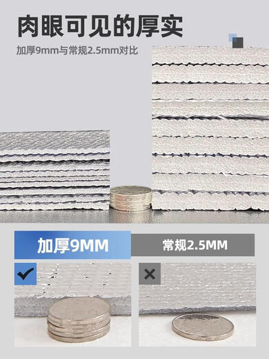 DUTRIEUX Decath Agricultural Mat Thick Outdoor Picnic Mat Camping Tent Sleeping Mat Home Door Floor Extra Thick 11150*200cm+ Storage Bag