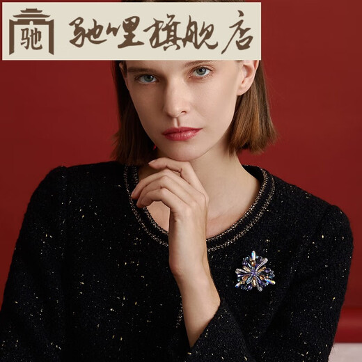 Chili French original design brooch, high-end temperament, autumn and winter accessories, collar pin, corsage, Mother's Day gift 2025, blue and purple