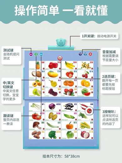 Kinder chinesische und englische elektronische Lesung früh Bildung Kinder Hörbücher Baby -Lernmaschine Lesen Stift Sprachbuch Englisch Wort Lesen - wiederaufladbares Modell