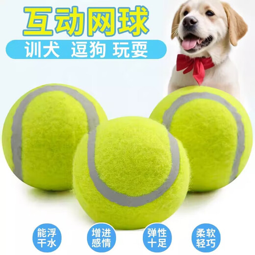 Beiyipin dog toy ball to relieve boredom, pet training, border herding, golden retriever, corgi, bite-resistant, puppy walking, molar rubber tennis ball