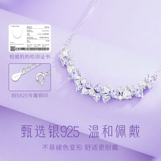 Central Chuang Fashion Chinese Gold and Silver Necklace Girls Clavicle Chain High-end Birthday Gift for Lady Girlfriend Girlfriend Best Friend S925