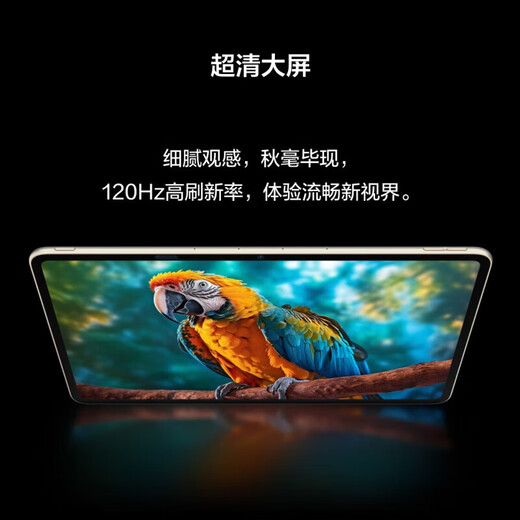 Xueersi learning machine P4 S4 T4 pro2025 heavy new product eye protection large screen new generation new curriculum standard full school period primary school high school enlightenment school synchronization nine chapters large model S4 learning machine 13.2 inches 8+256G