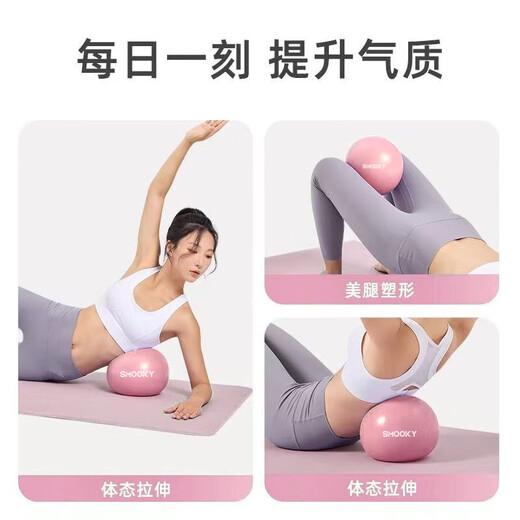 Yoga Ball Pilates Balance Training Ball Purple