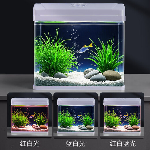 Changrui Small Fish Tank Small Desktop Living Room Household Glass No-Water Change Mini CR230+ Water Orchid Green Bamboo Scenery (Real Aquatic Plants)