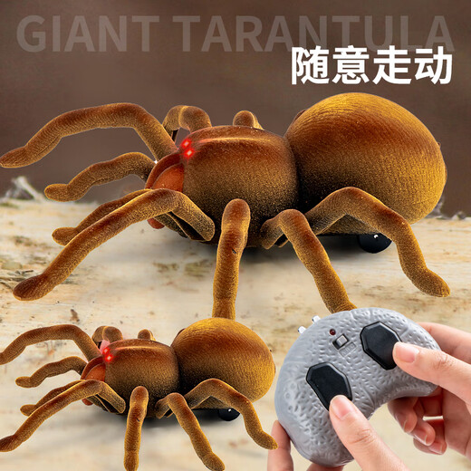 Genius Beibei (tianibebei) Grande télécommande araignée luxueuse réelle modèle pour enfants Pénérale électronique Prank effrayant jouet électrique Gift Crawling Gift Induction Spider-Brown 9902B + Tournevis Norme officielle Standard