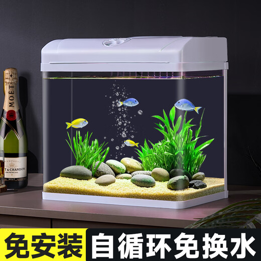 Changrui Small Fish Tank Small Desktop Living Room Household Glass No-Water Change Mini CR230+ Water Orchid Green Bamboo Scenery (Real Aquatic Plants)