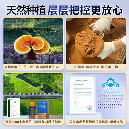 Yuanshengtai Gao Triterpene Ganoderma lucidum spore oil soft capsules broken wall Ganoderma lucidum spore powder essence Nutritional health products for middle-aged and elderly people