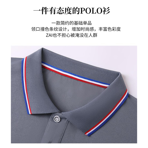 真维斯（Jeanswest）短袖POLO衫夏季纯色绣标上衣服polo衬衫 白色698 4XL （建议160-180斤）