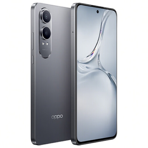 OPPO K12 plus 6400mah großer Akku, Snapdragon 7-Flaggschiff-Kern der dritten Generation, 120-Hz-Augenschutz 5G Gerade Bildschirm-Mobiltelefon, OPPOK12-Serie, Titanium Sky Gray [K12X Snapdragon 695] 8 GB+256 GB