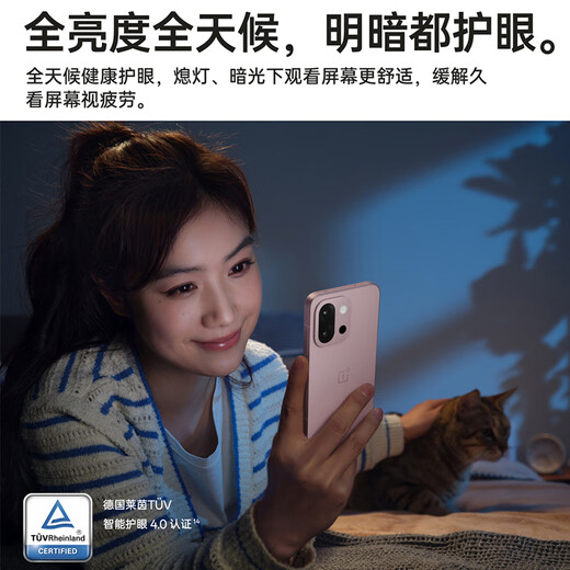 OnePlus 13T New 5G Mobile Phone Snapdragon 8 Extreme Edition Glacier Battery Super Performance Small Straight Screen OPPO Morning Mist Gray丨16GB+256GB Official Standard Configuration