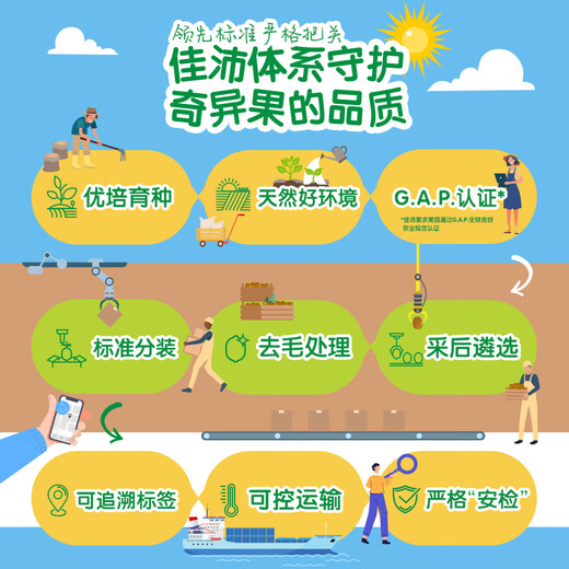 Zespri New Zealand Sunshine Golden Kiwi 18-piece Gift Box Selected Fruit Single Fruit Approximately 101-124g Kiwi Fruit