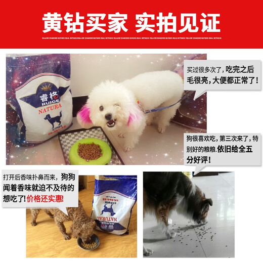 Ruige dog food universal large, medium and small puppies, adult dogs, golden retriever, Teddy, Samoyed, 40, Border Collie, 10, Bichon Frize, beef flavor