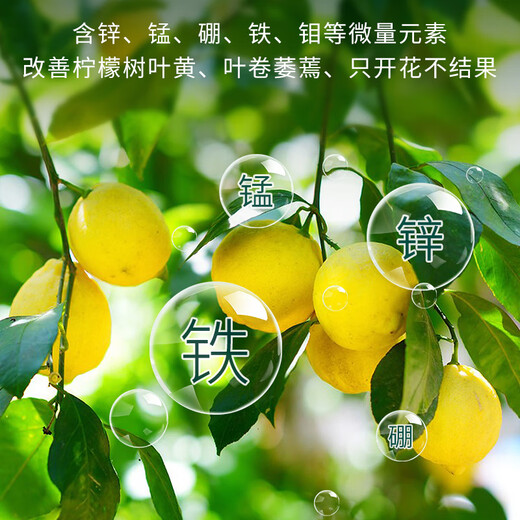 Manlife lemon tree special fertilizer potted nutrient soil improves the problem of yellow leaves defoliation and allows the tree to thrive 2.5kg ceramsite colored small ceramsite 5-6mm package