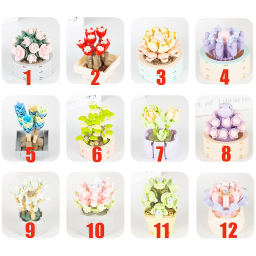 Mit Lego Jiaqi China Mini Sukkulente Topfbaubausteine kompatibel. Toy Girl Serie Eternal Flower Teacher's Day Liebhaber XJ-10975 (b) Ju Huangyu