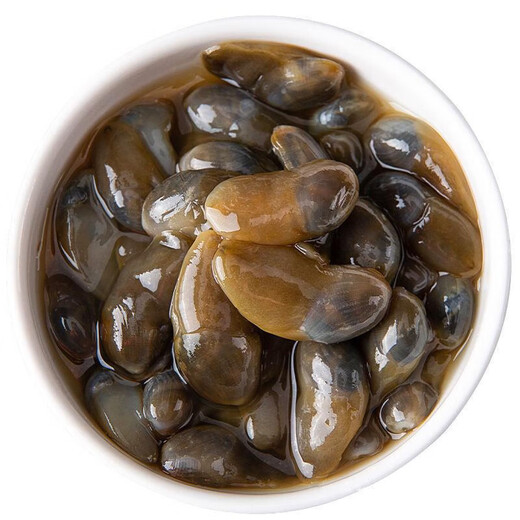 Mud snail ready-to-eat canned yellow mud snail fresh extra large drunk mud snail raw pickled Zhoushan specialty Ningbo seafood conch without sand 5A large size raw pickled drunk mud snail 210g/can 1 can